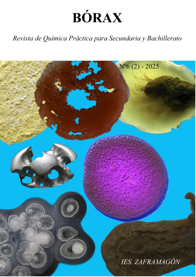 portada 5(1) 2024.jpg